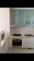 One Oxley Rise (D9), Apartment #508732551